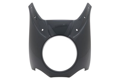 Bild von Verkleidung »DAYTONA«