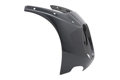 Bild von Verkleidung »DAYTONA«