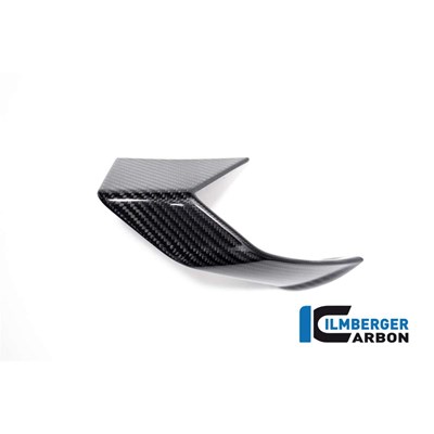 Bild von Verkleidungs Winglet links