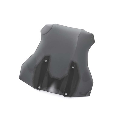 Bild von Verkleidungsscheibe MARATHON inkl. Scheibenverstärkung