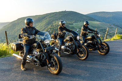 Bild von Verkleidungsscheibe »CRUISE«