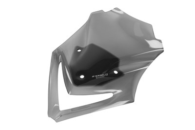 Bild von Verkleidungsscheibe »LONGDISTANCE«