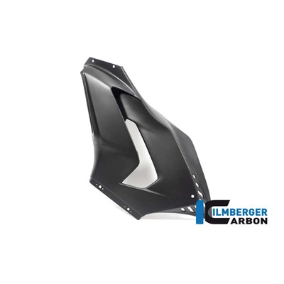 Bild von Verkleidungsseitenteil Race links matt