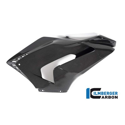 Bild von Verkleidungsseitenteil Race rechts glanz