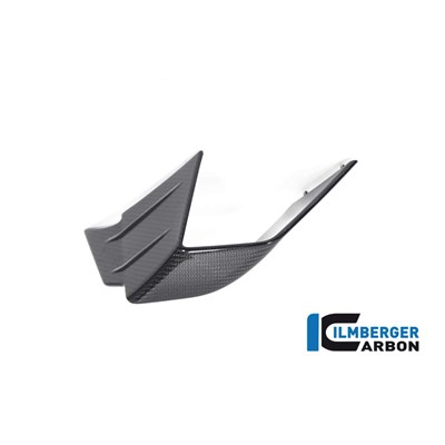 Bild von Verkleidungswinglet links