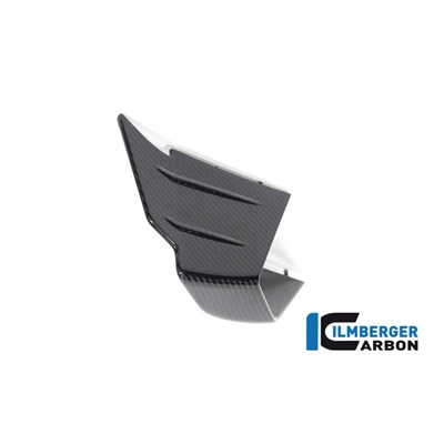 Bild von Verkleidungswinglet links