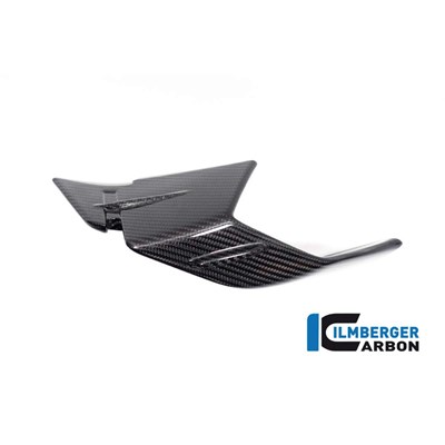 Bild von Verkleidungswinglet links