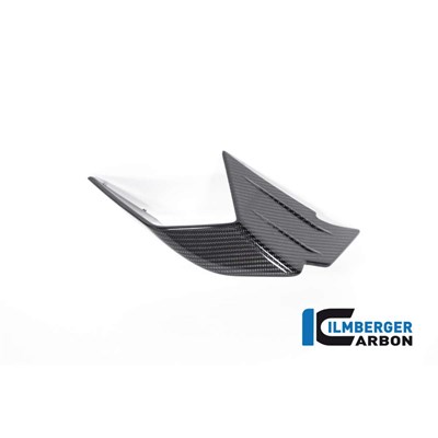 Bild von Verkleidungswinglet rechts