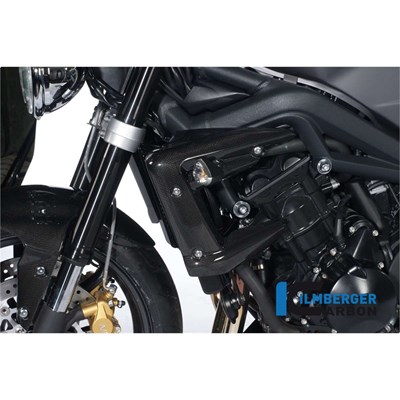 Bild von Wasserkühlerabdeckung links