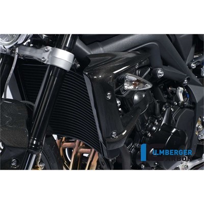 Bild von Wasserkühlerabdeckung links