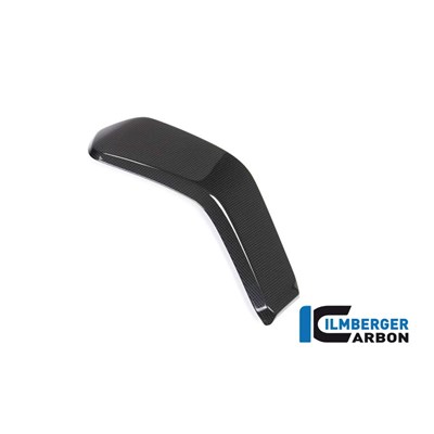 Bild von Wasserkühlerabdeckung links glanz