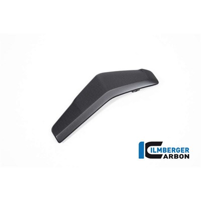 Bild von Wasserkühlerabdeckung links matt