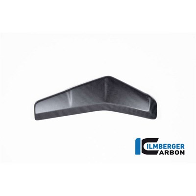 Bild von Wasserkühlerabdeckung links matt