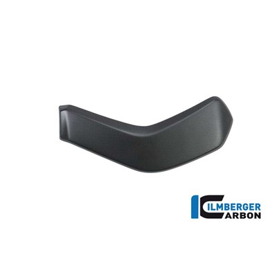 Bild von Wasserkühlerabdeckung links matt