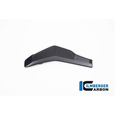 Bild von Wasserkühlerabdeckung rechts matt