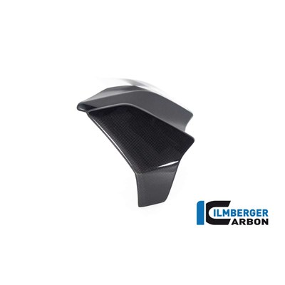 Bild von Wasserkühlerverkleidung links glanz