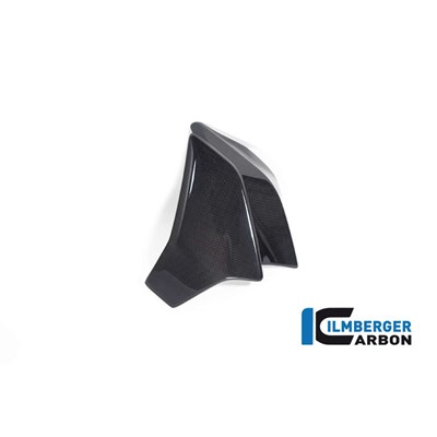 Bild von Wasserkühlerverkleidung links glanz