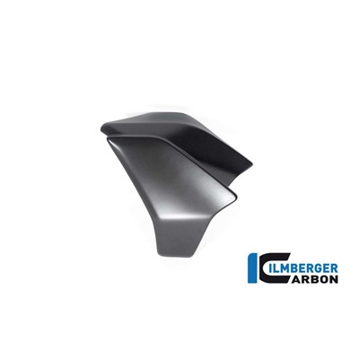 Bild von Wasserkühlerverkleidung links matt