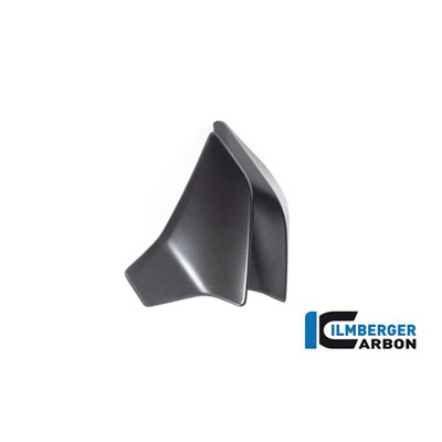 Bild von Wasserkühlerverkleidung links matt