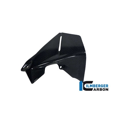 Bild von Windabweiser am Cockpit links