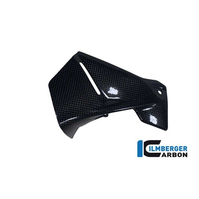 Bild von Windabweiser am Cockpit rechts