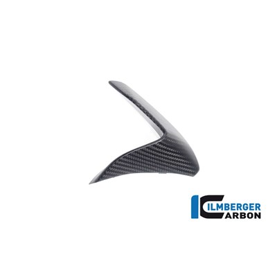 Bild von Windabweiser rechts matt