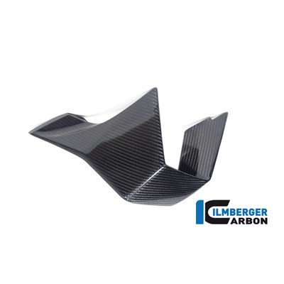 Bild von Winglet links