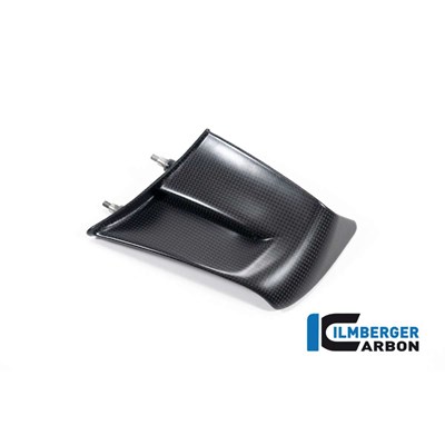 Bild von Winglet links matt