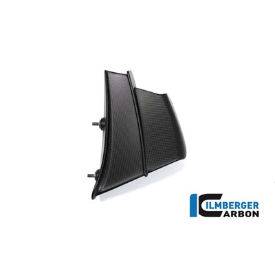 Bild von Winglet links matt