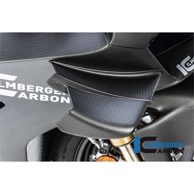 Bild von Winglet rechts matt