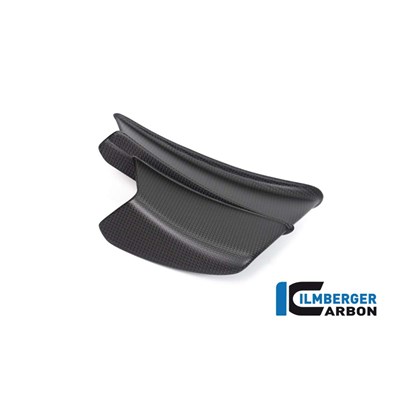 Bild von Winglet rechts matt