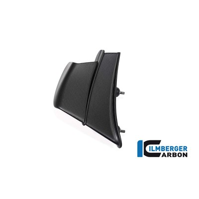 Bild von Winglet rechts matt