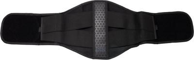 Bild von Nierengrut Dry-Lex Belt 2.0