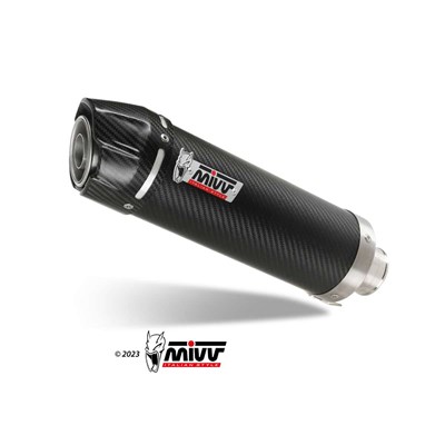 Bild von Auspuff GP Carbon/Carbon cap