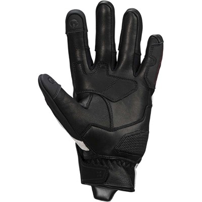 Bild von Handschuhe Rapid 1.0