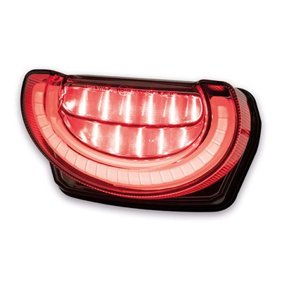 Bild von LED RÜCKLICHT