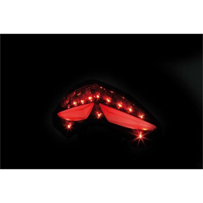 Bild von LED Rücklicht für DUCATI MULTISTRADA 1200