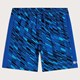 PADDOCK BLUE BADESHORTS