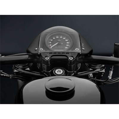 Bild von Windschild, alu