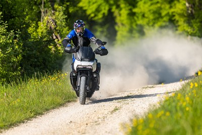 Bild von Bremshebel-Vergrößerung