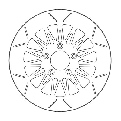 Bild von Bremsscheibe HALO