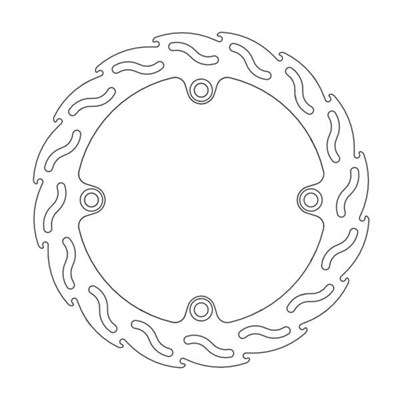 Bild von Bremsscheiben Flame hinten