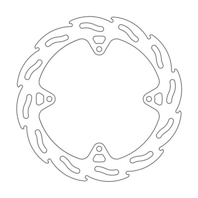 Bild von Bremsscheiben Flame hinten