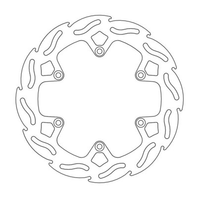 Bild von Bremsscheiben Flame hinten