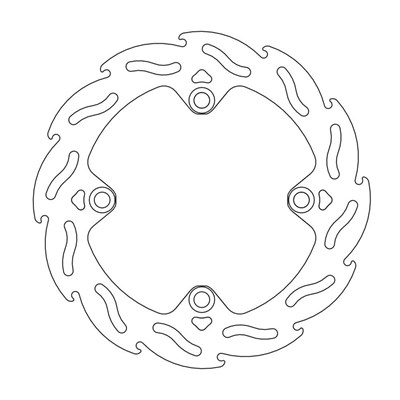 Bild von Bremsscheiben Flame hinten