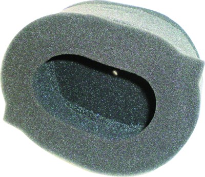 Bild von Champion Luftfilter