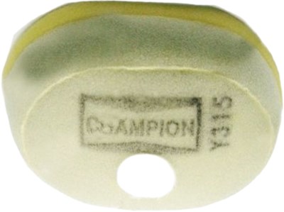 Bild von Champion Luftfilter