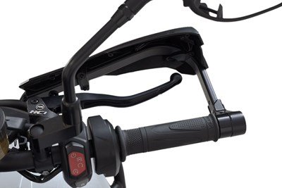 Bild von Handschützer Kobra