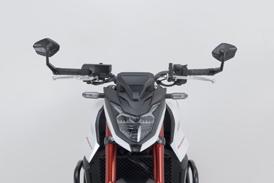 Bild von Lenkerendenspiegel