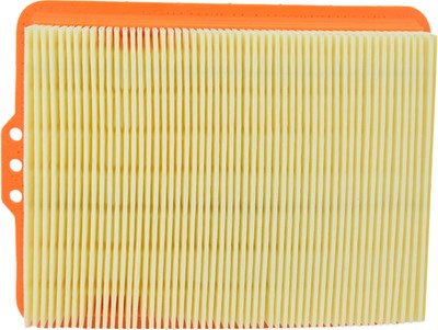 Bild von Luftfilter CAF6801